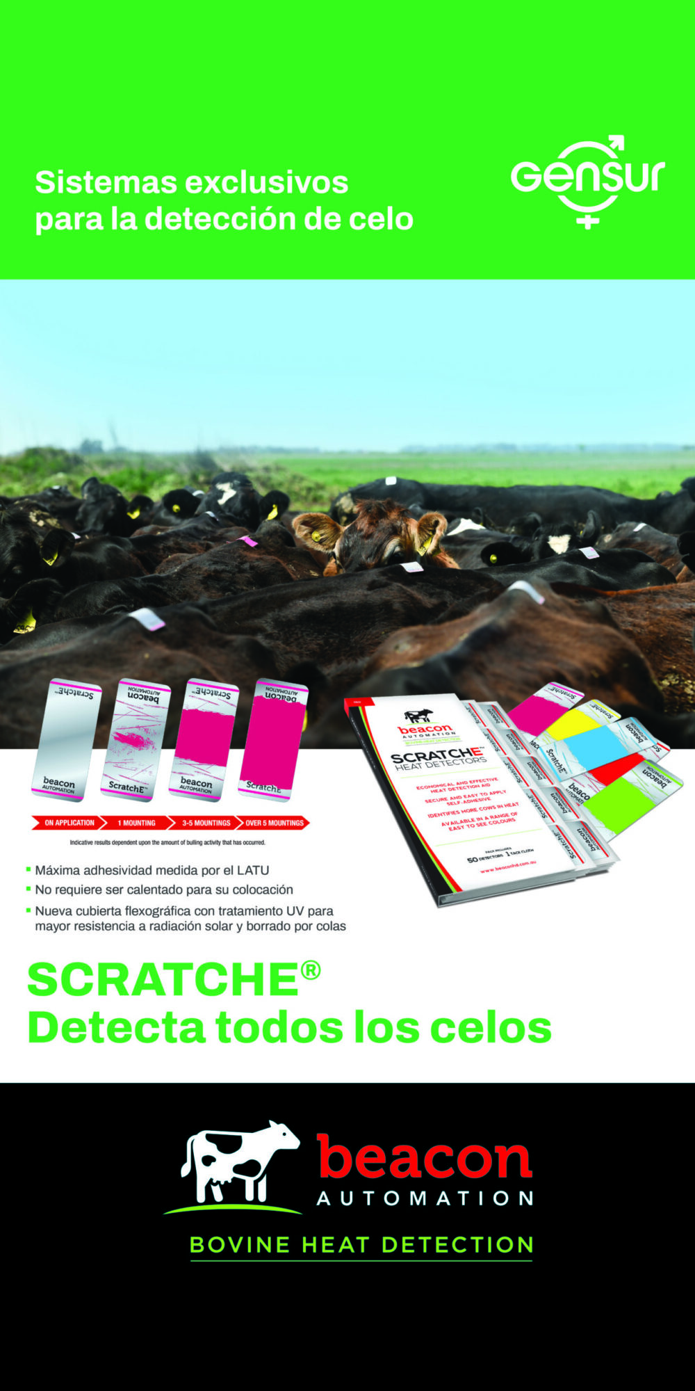 Parches para Detección de Celo x50u