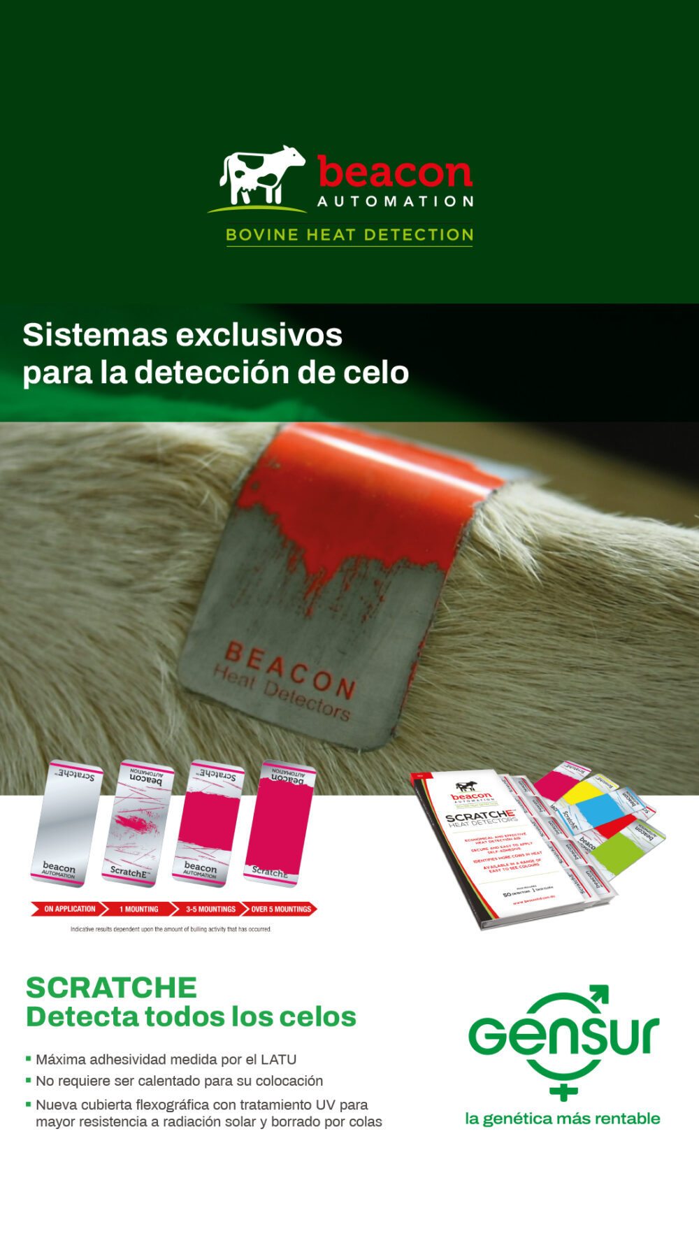Parches para Detección de Celo x50u