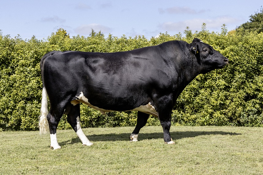 KiwiCross - PASSENGER