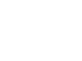 Lic
